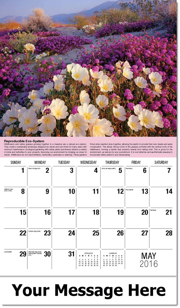 Earth Calendars Promotional Wall Calendar World Ecology