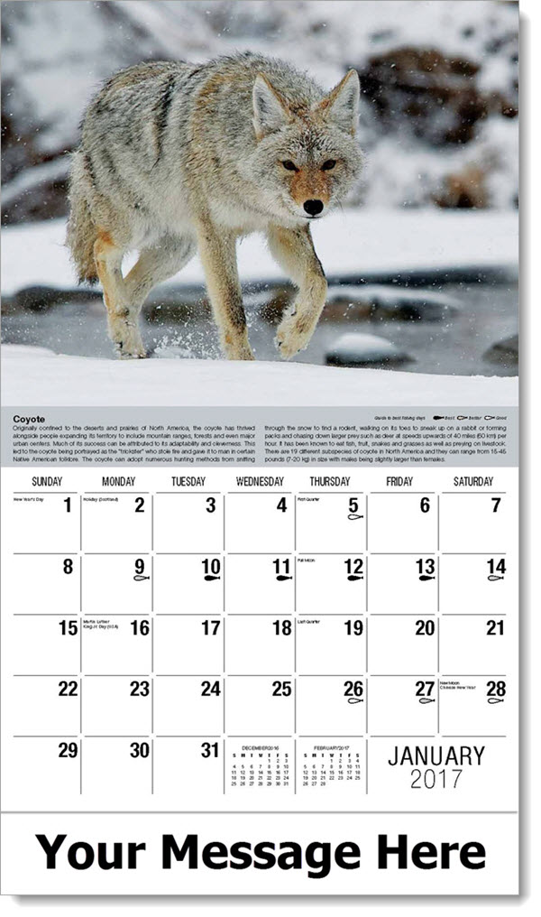 Wildlife Calendars Personalized North American Wildlife Calendar