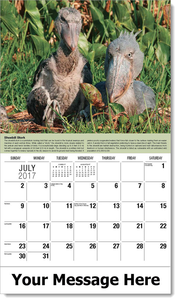 International Wildlife Promo Calendar Custom Imprinted Wholesale