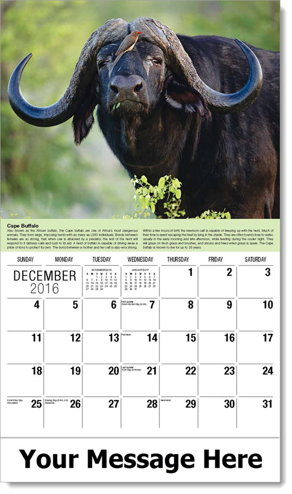 University At Buffalo Calendar prntbl.concejomunicipaldechinu.gov.co