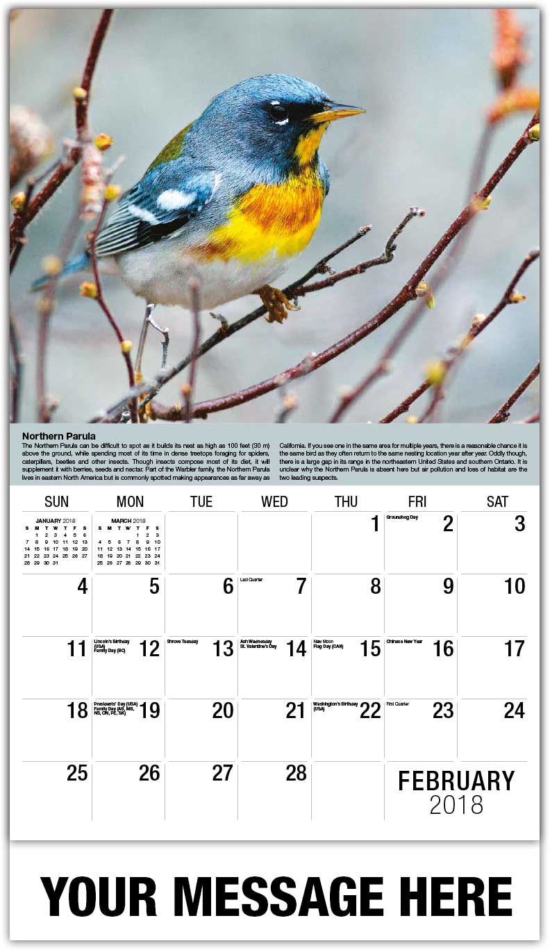 Garden Song Birds Calendar | Business Promotional Calendars low as 65¢