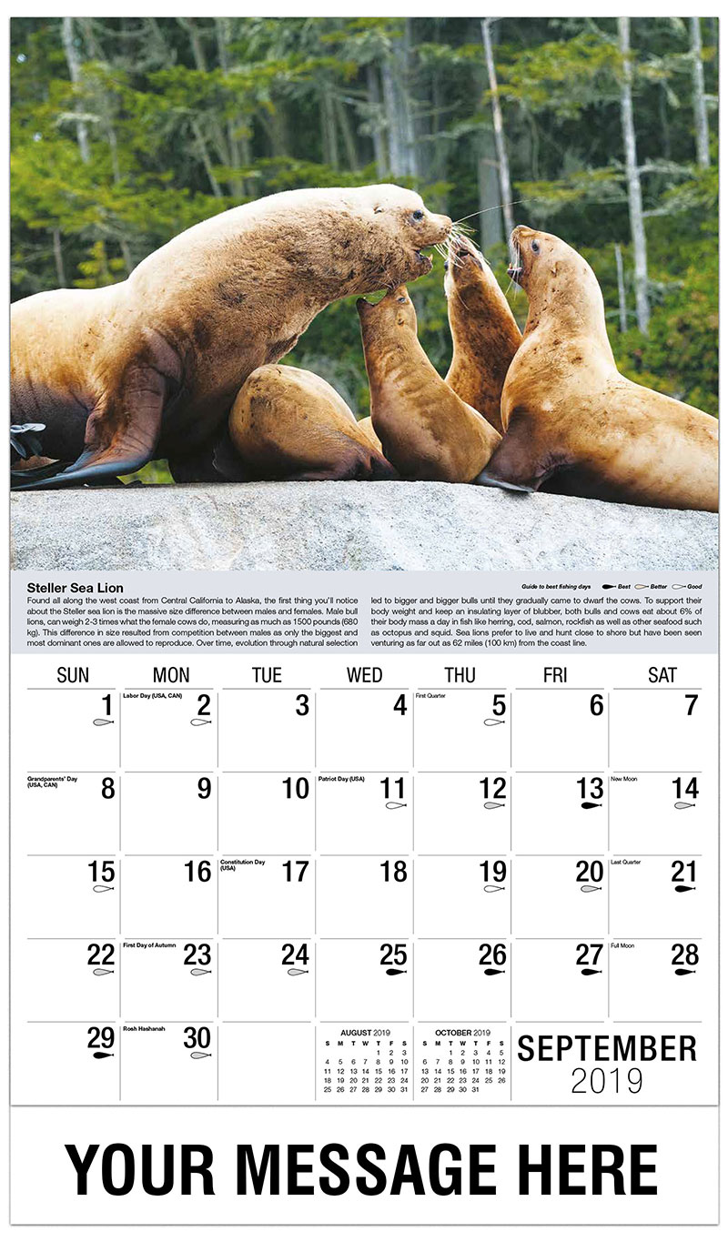 North American Wildlife Promotional Calendar  65 