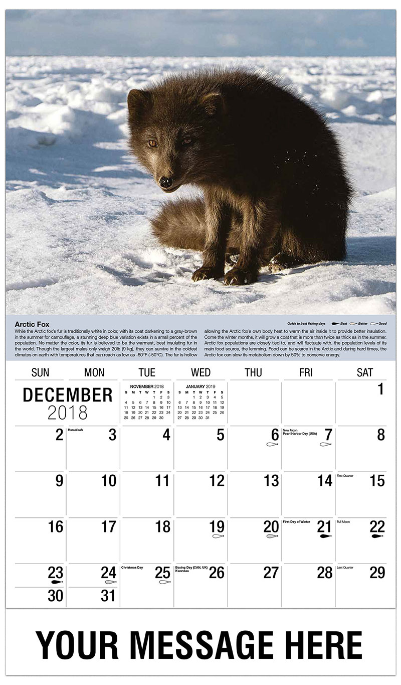 North American Wildlife Promotional Calendar  65 