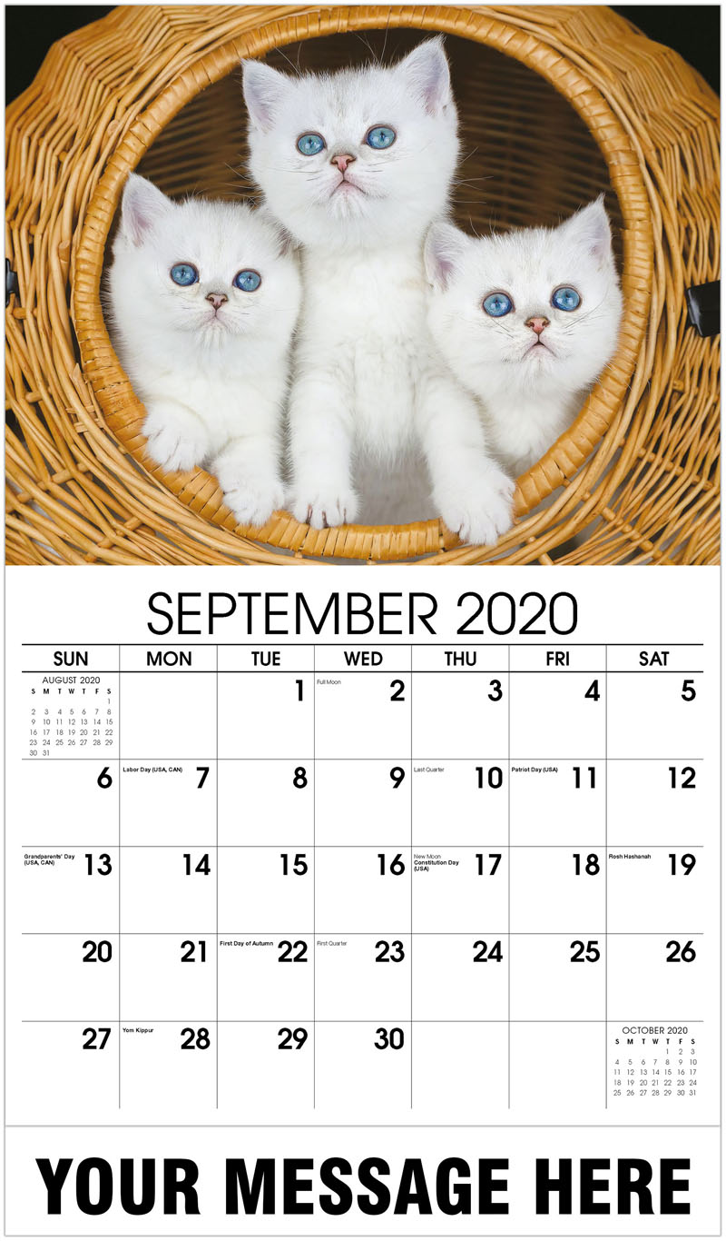 Business Advertising Calendars | Kittens Promotional Calendar