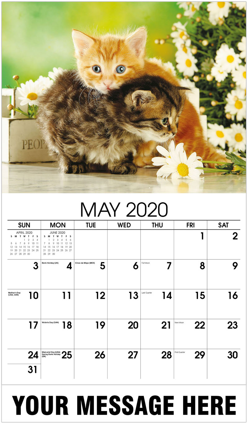 Business Advertising Calendars | Kittens Promotional Calendar