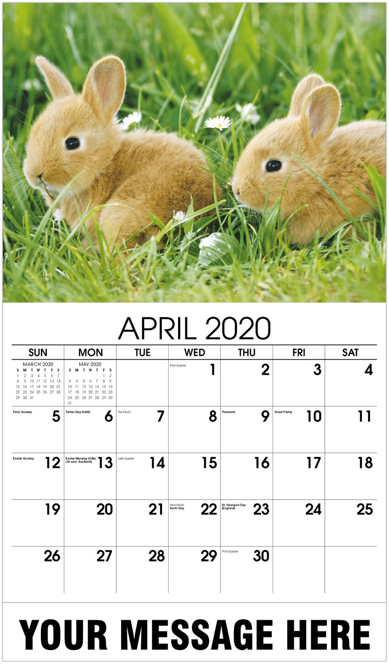 2020 Promotional Calendar | Household Pets and Animals Calendar