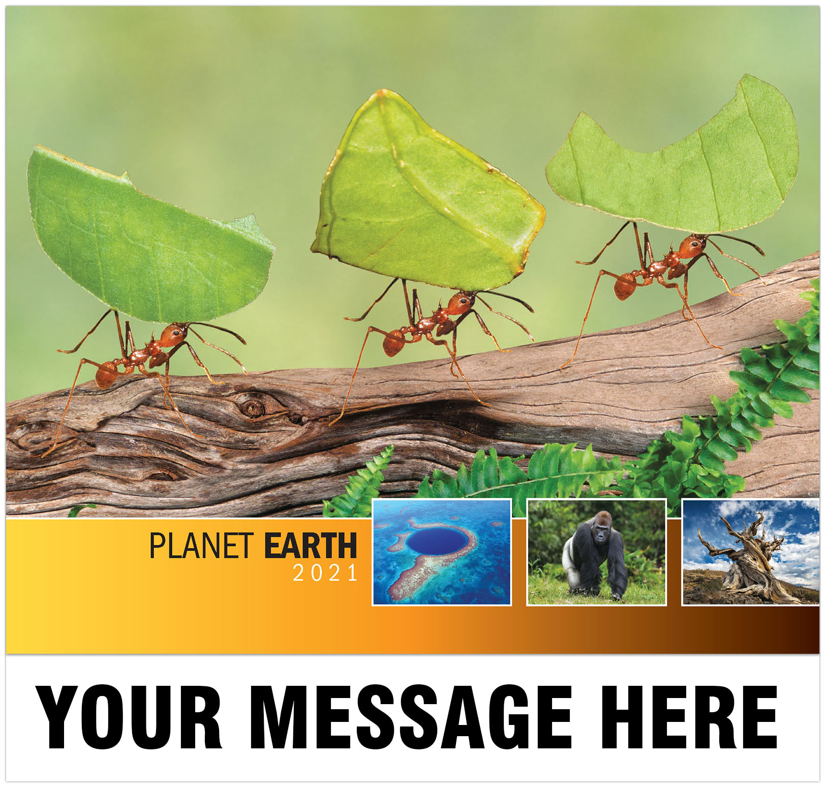 2021 Planet Earth Advertising Calendar | Business ...