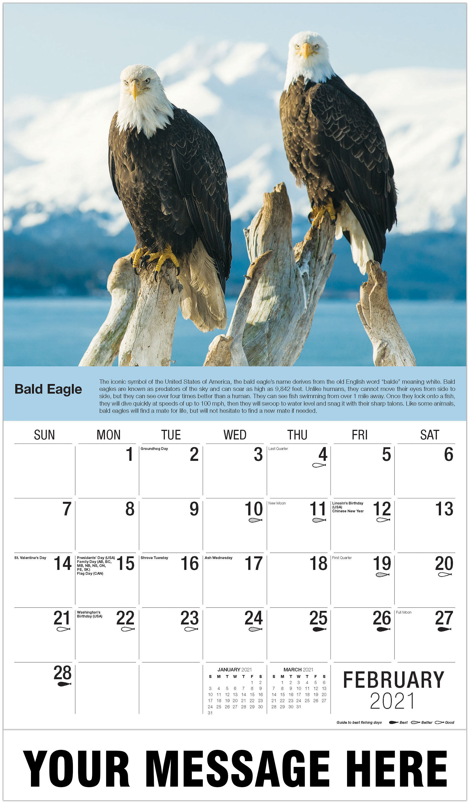 2021 Promo Wall Calendar North American Wildlife Calendar
