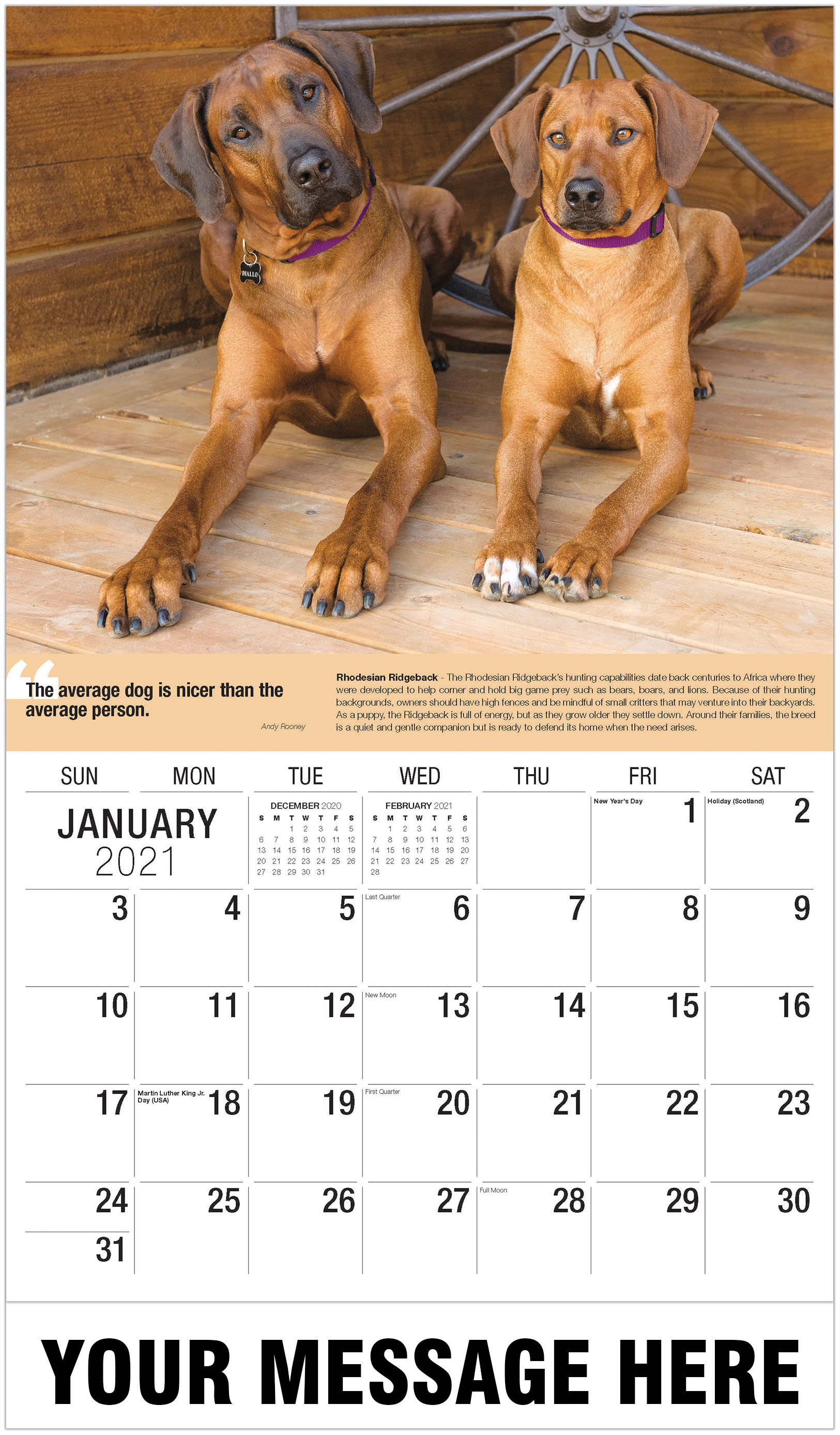 Dog 2021 Dog 2021
