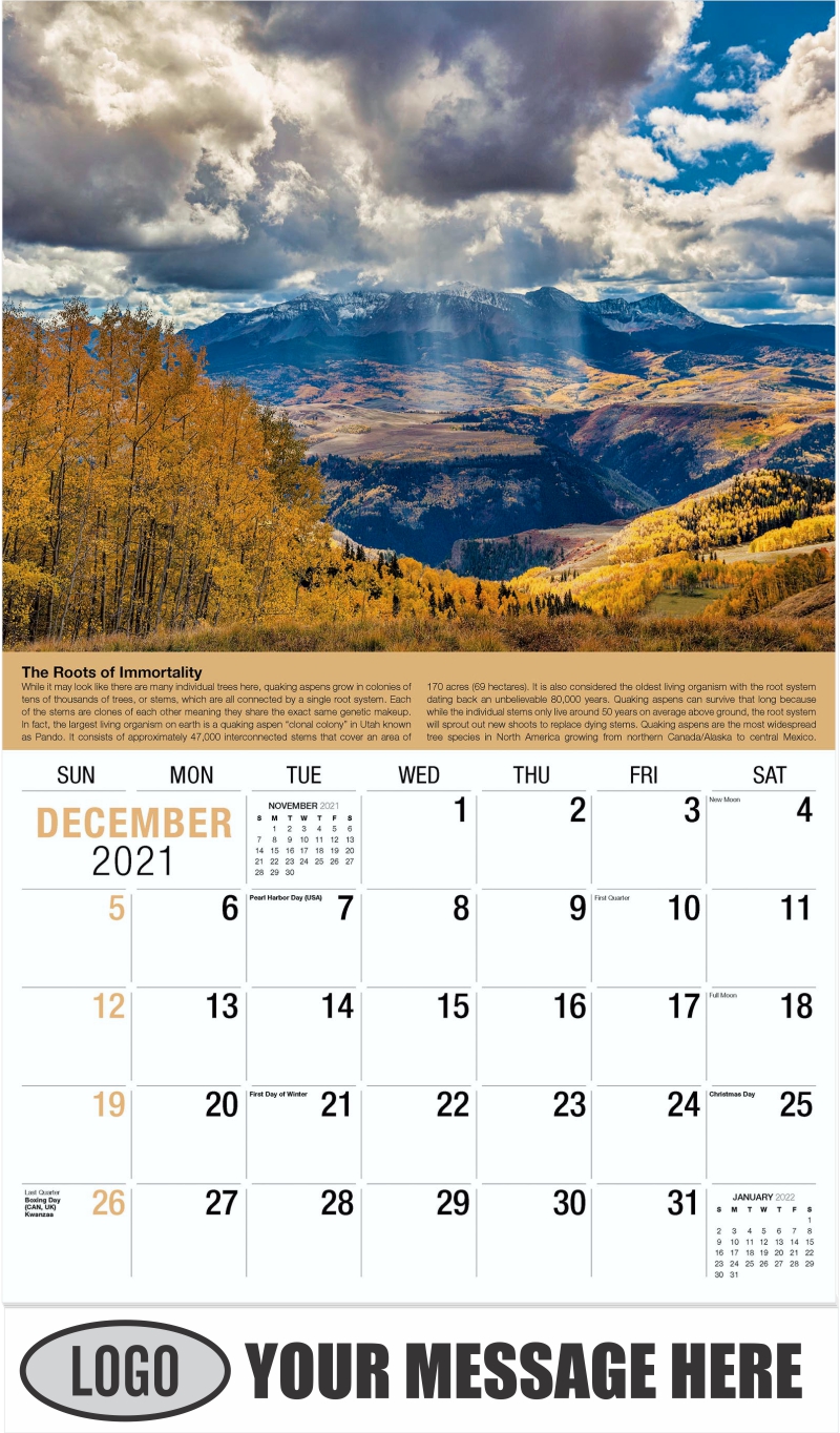 2022 Business Promotion Calendars | Planet Earth | low as 65¢