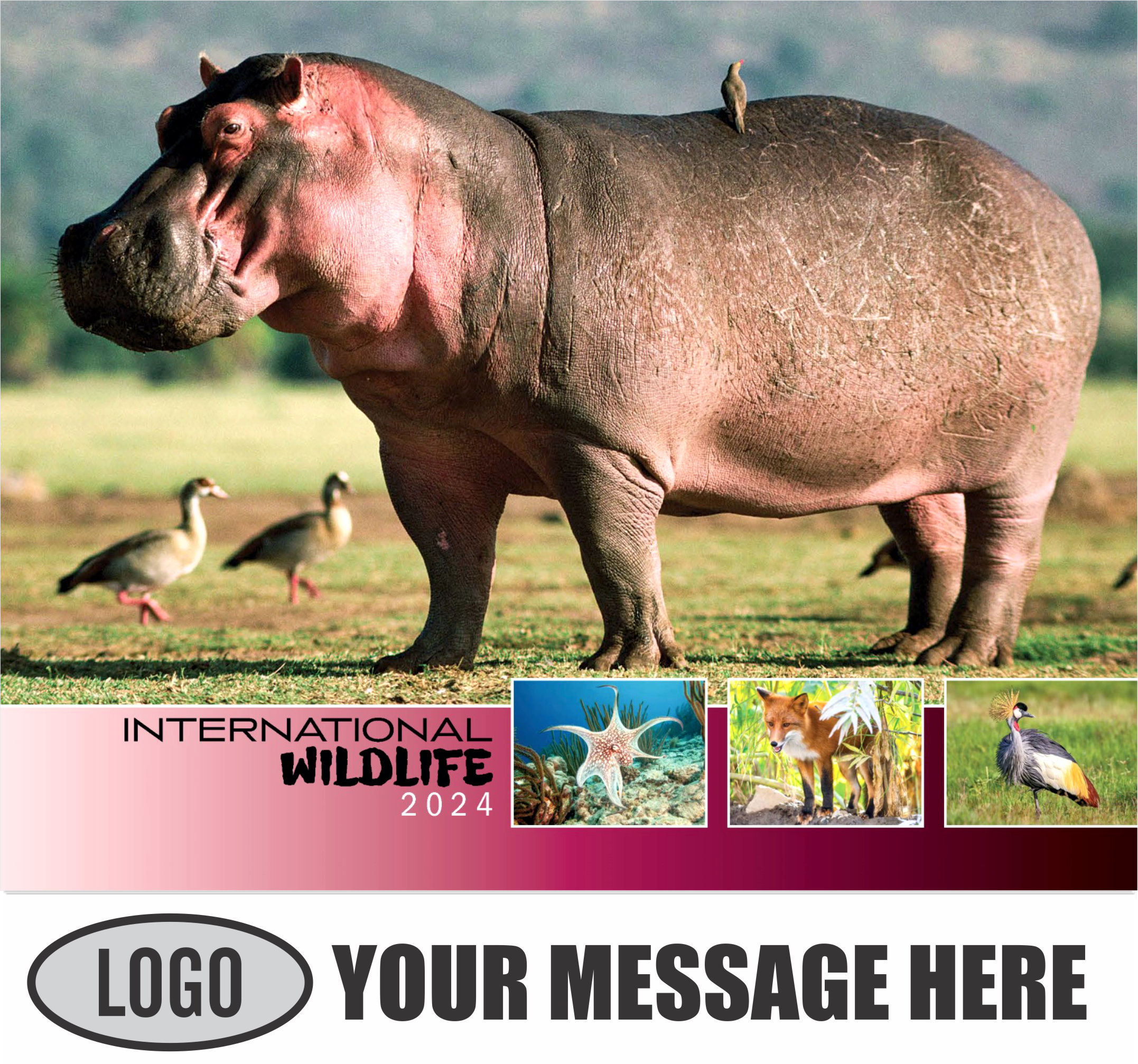 2024 Business Promotional Calendars International Wildlife Low As 65   2024 Calendar International Wildlife 0144 Cvr 