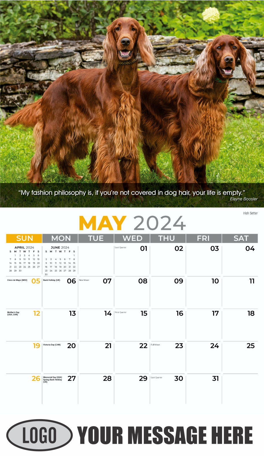 2024 Calendar Dogs Mans Best Friends 0134 06 
