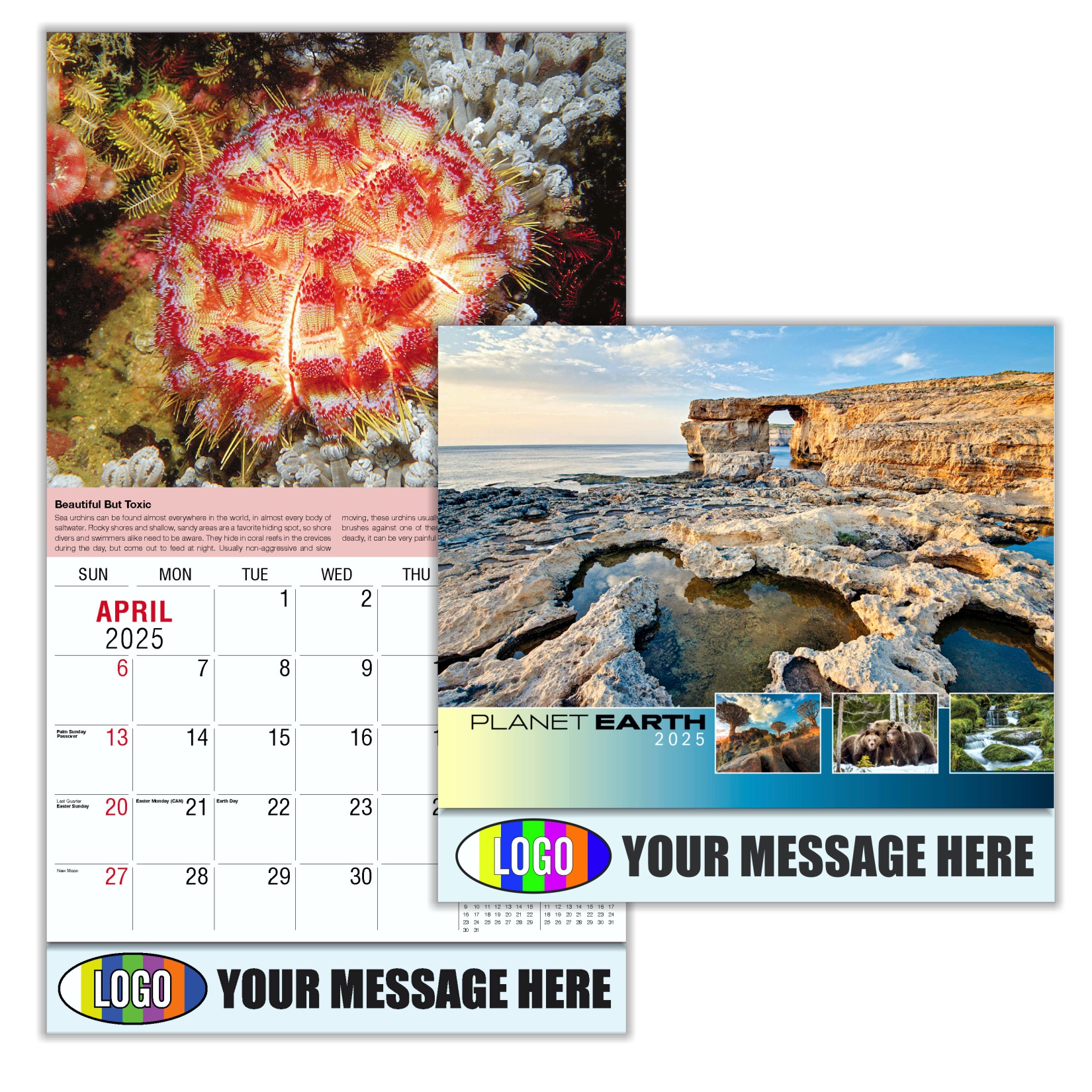 Planet Earth 2024 Business Promotional Wall calendar